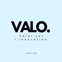 VALO. logo