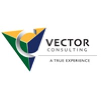 Vector Consulting, Inc logo