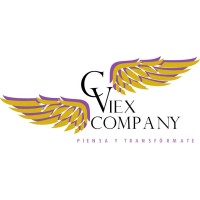 VIEX COMPANY logo