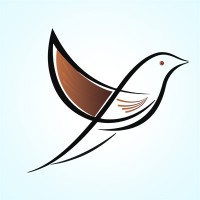 Volga Tigris Digital Marketing Agency logo