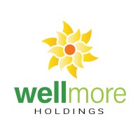 WellMore Holdings logo