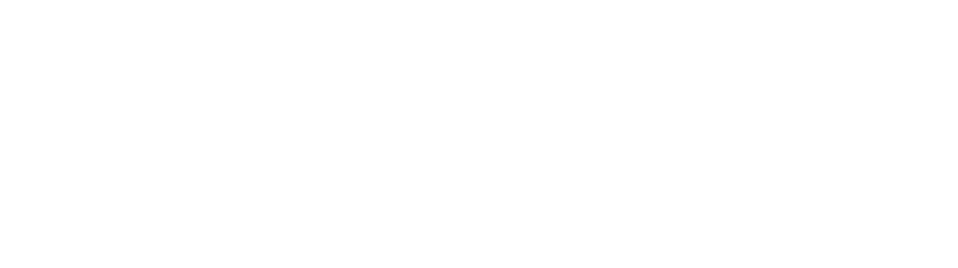 Priester Aviation logo