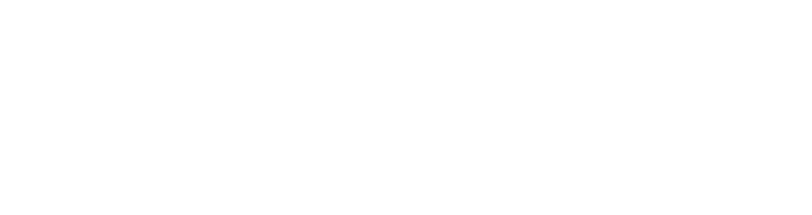 Premium Parking logo