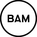 BAM Strategy logo