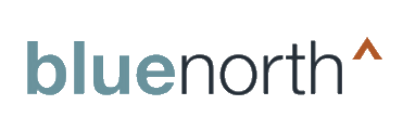 Blue North Strategies logo