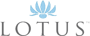 Lotus Company logo