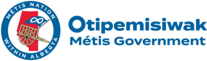 MNA logo