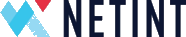NETINT Technologies Inc. logo