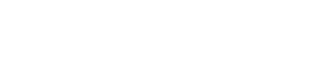 Novus International, Inc. logo