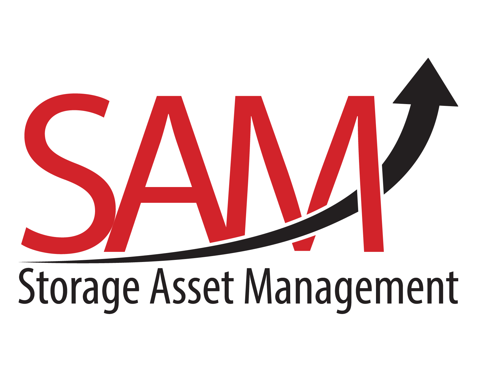 Storage Asset Management logo