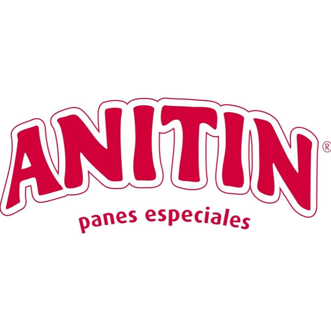 ANITIN PANES ESPECIALES logo