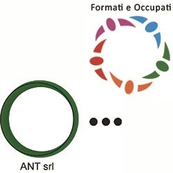 ANT logo