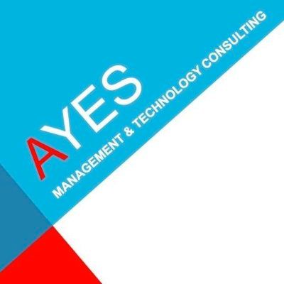 AYES CONSULTING logo