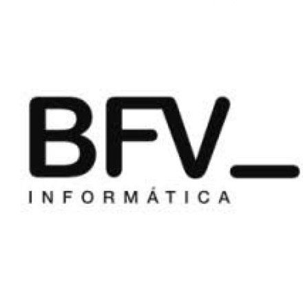 BFV INFORMATICA logo