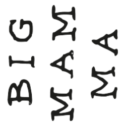 BIG MAMMA ITALIA S.R.L. logo