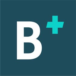 BalmesVet Veterinari Hospital logo