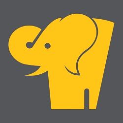 COG S.R.L. logo