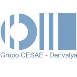 DERIVALYA FORMACION  Y CONSULTORIA EMPRESARIAL SL. logo