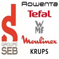 GROUPE SEB IBERICA logo