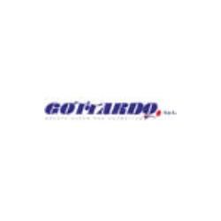 Gottardo S.p.A. logo