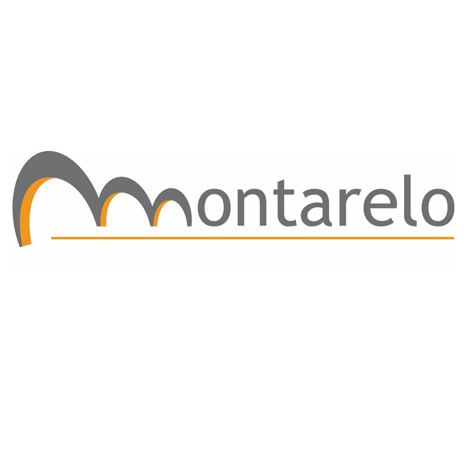 Montarelo Consulting S.L.U. logo