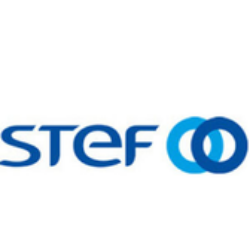 STEF logo