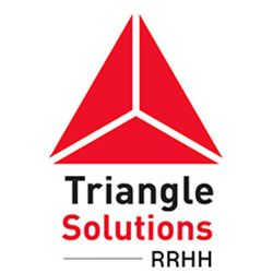 Triangle logo