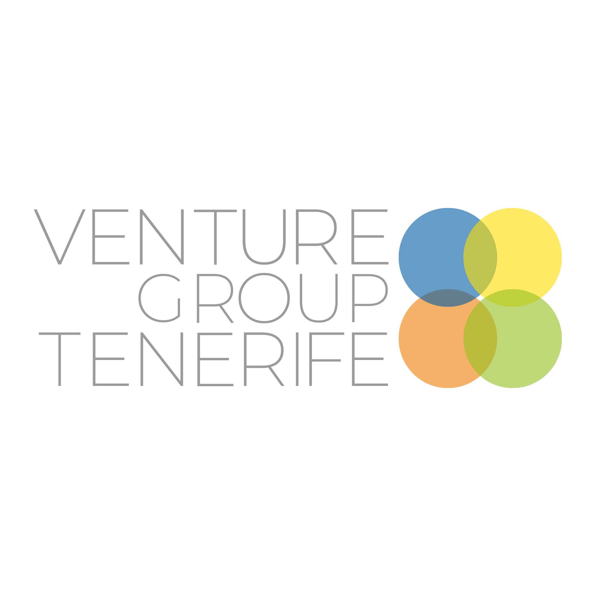 Venture Group Tenerife logo