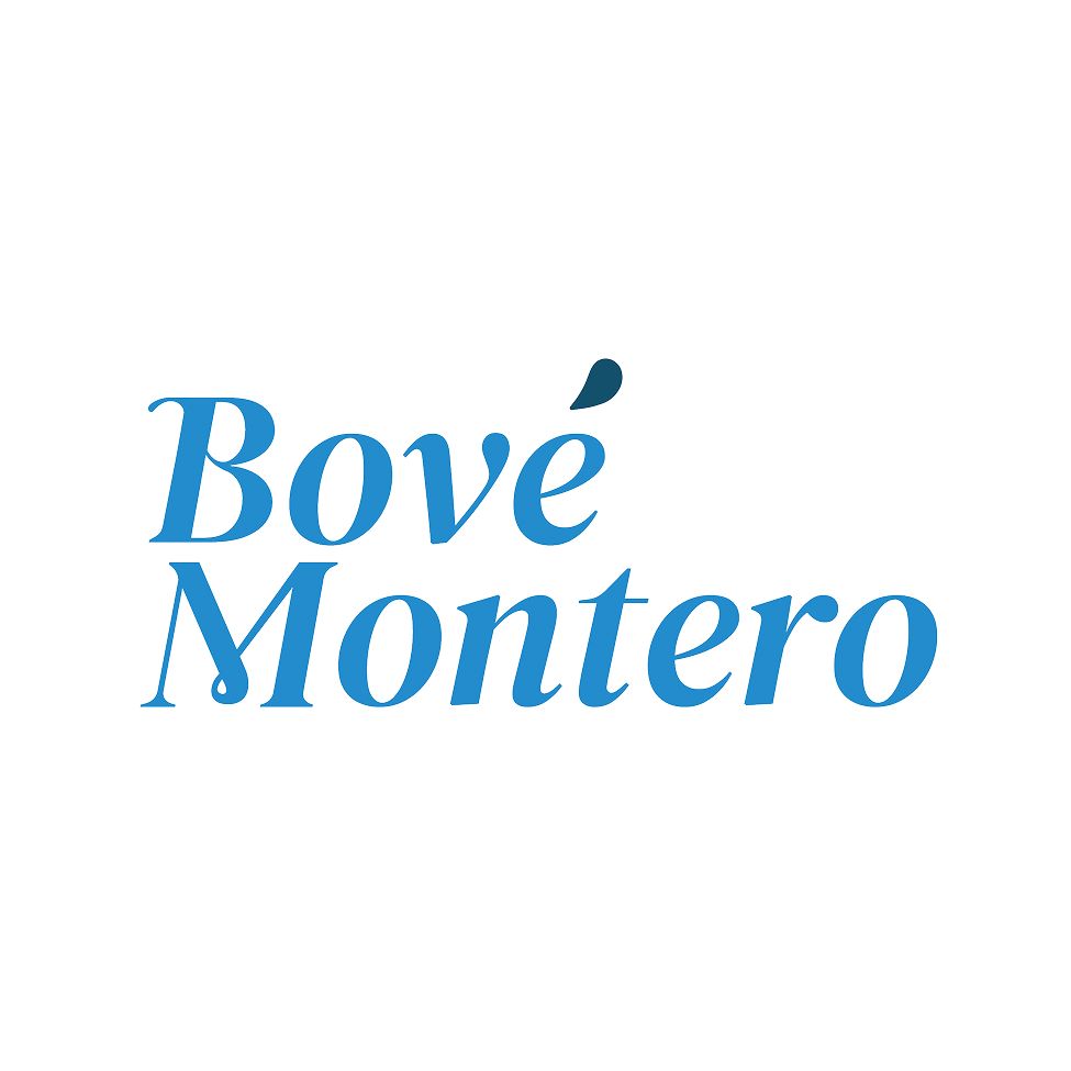 BOVE MONTERO Y ASOCIADOS logo