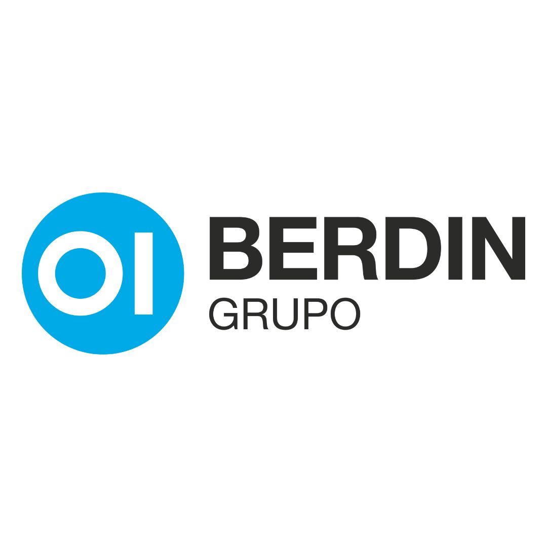 BERDIN GRUPO logo