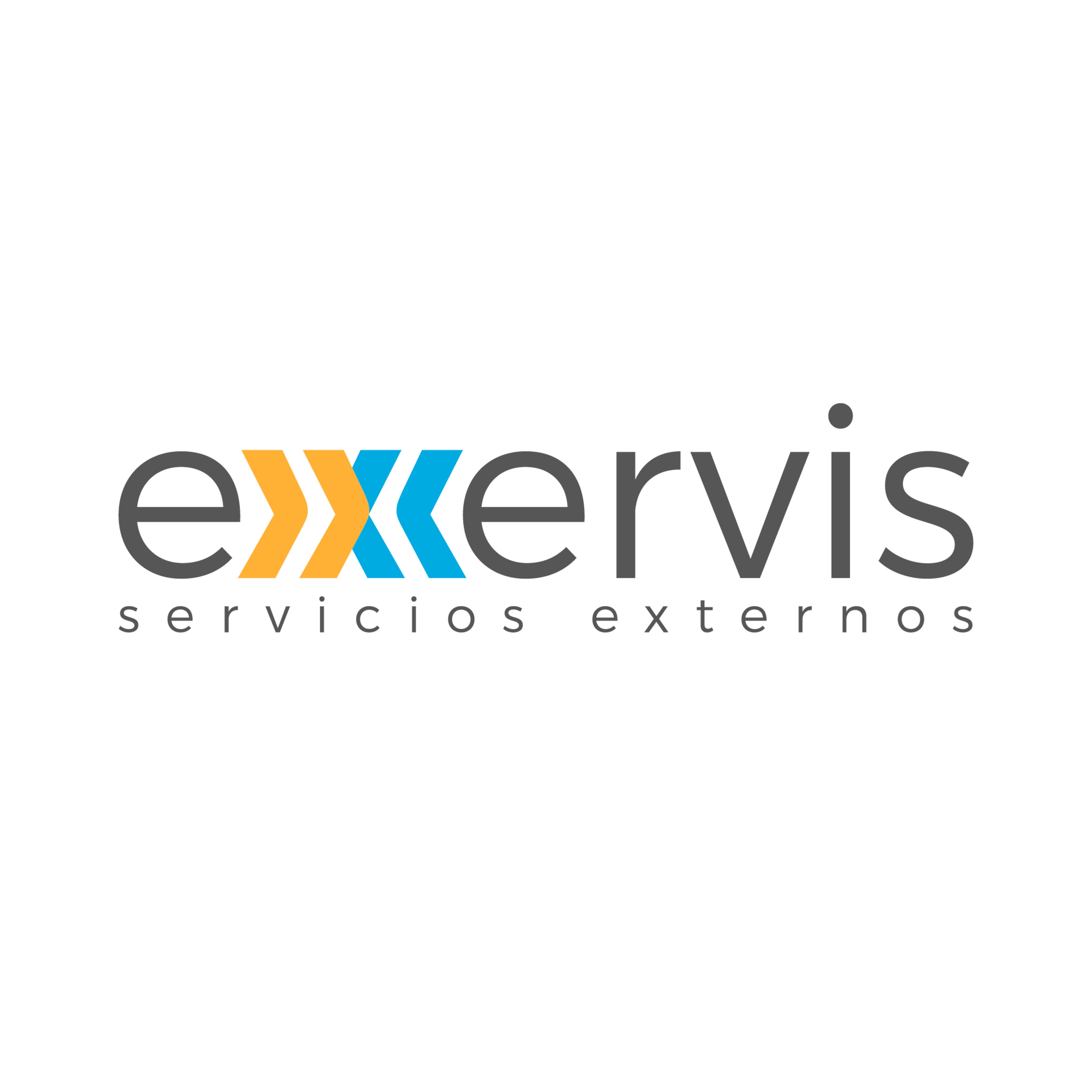 Exervis logo