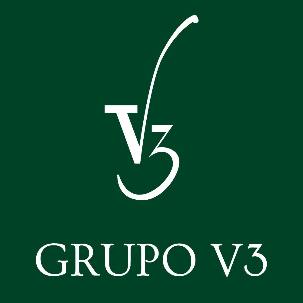 GRUPO V3 logo