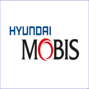 MOBIS PARTS EUROPE N.V. logo