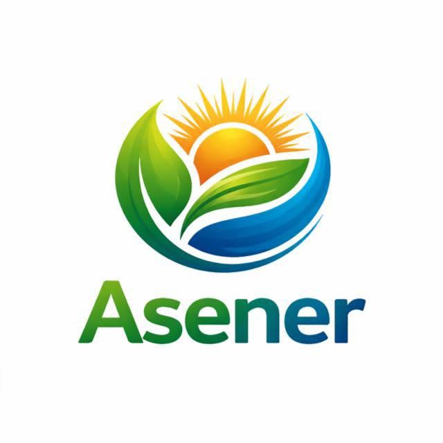 ASENER ASESORES logo