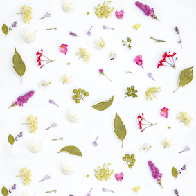 Restaurante Las Flores logo