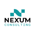 Nexum Consulting logo