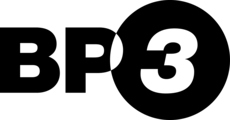 BP3 Global, Inc. logo