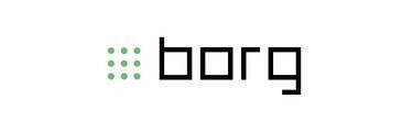 Borg Collective GmbH logo