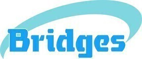 Bridges Electrical Engineers logo