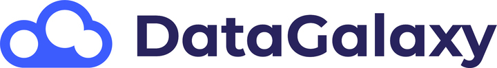 DataGalaxy logo