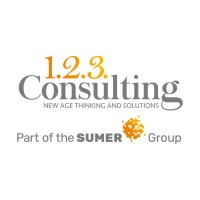 123 Consulting logo