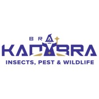 Abra Kadabra Environmental Services logo