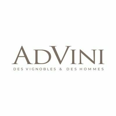 Advini logo