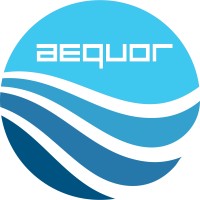 Aequor Information Technologies Pvt. Ltd. logo