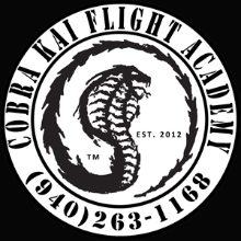 Cobra Kai Flight Academy logo