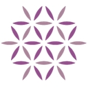 Allium Healthcare (Singapore) Pte. Ltd. logo