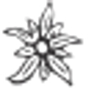 Schorta's Alvetern | Boutique Hotel logo