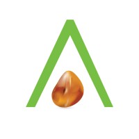 Amber Interiors logo