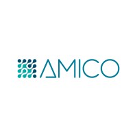 AMICO Group logo