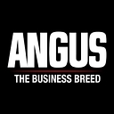 American Angus Association logo